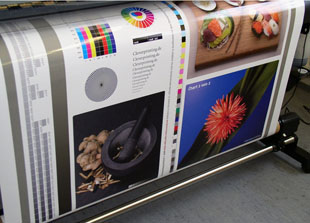 modernste Technik fü höchste Qualität Large Format Printing